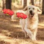 Dog Frisbee Ball