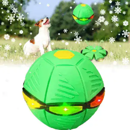 Dog Frisbee Ball