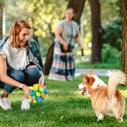 Dog Chew Toy Balls