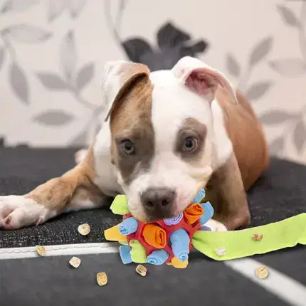 Dog Chew Toy Balls