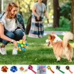 Dog Chew Toy Balls