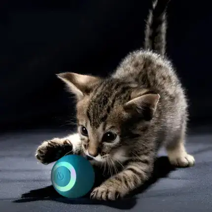 Treat Your Kitty To The Electric Ball Cat Toy😸