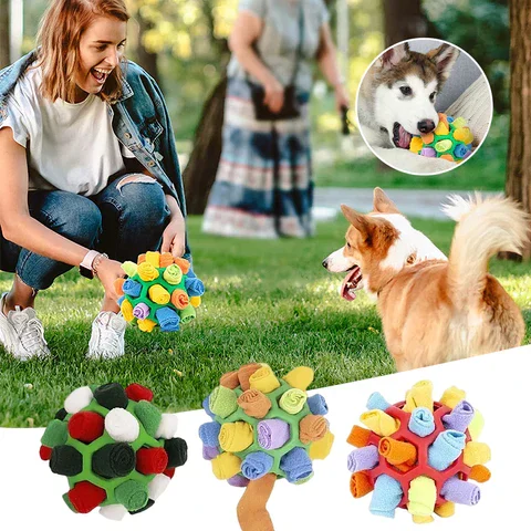 Pet with toy