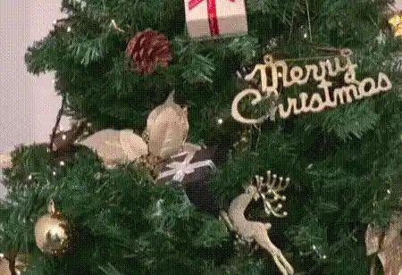 GIF