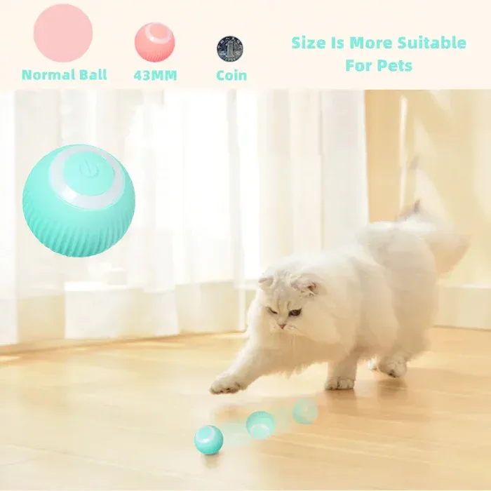 Cat enjoying play