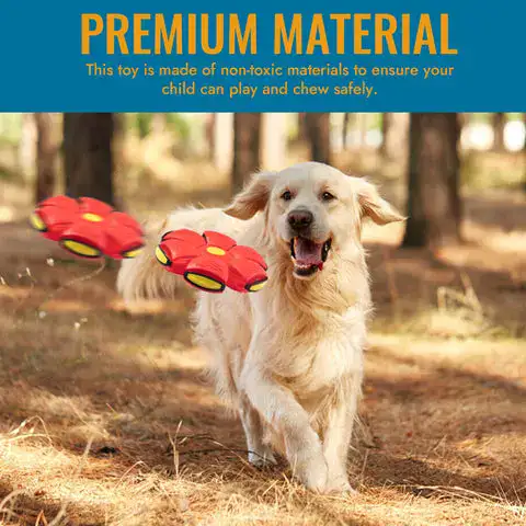 Light-up pet toy