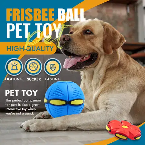 Pet toy with bounce-back feature