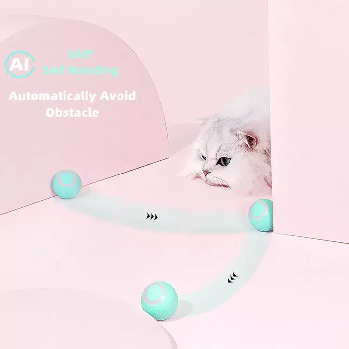 Interactive cat toy