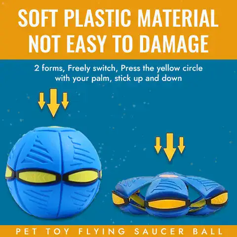 Pet toy with flashing light