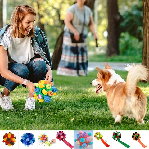 Dog playing with sniffing toy